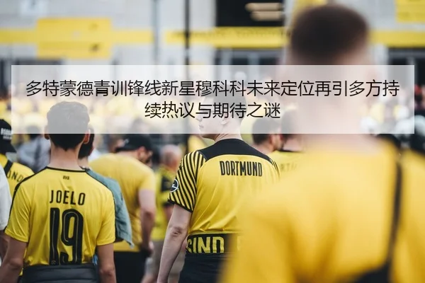 多特蒙德青训锋线新星穆科科未来定位再引多方持续热议与期待之谜